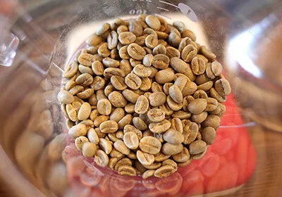 豆当番イメージ